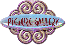 picture gallery